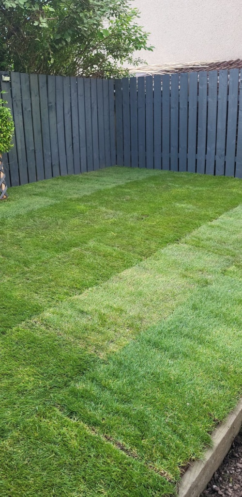 Someone has been a busy bee over the summer